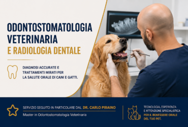 Odontostomatologia veterinaria: perché la salute della bocca è così importante.