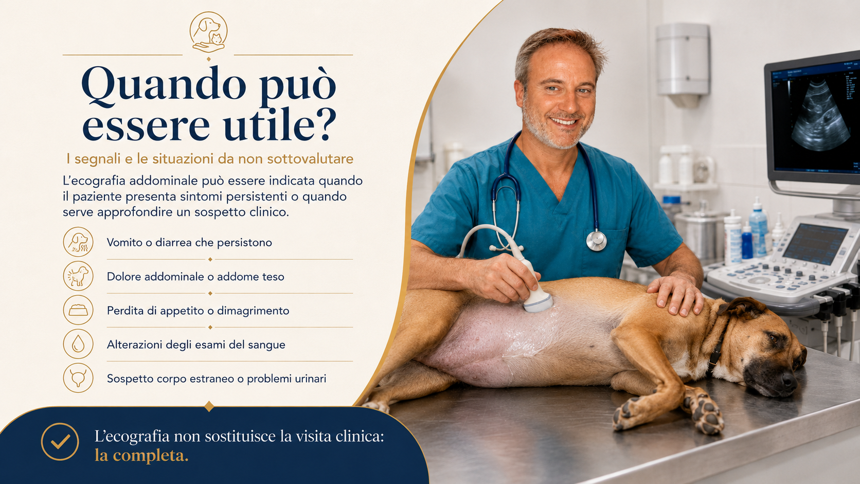 ecografia addominale quando è utile