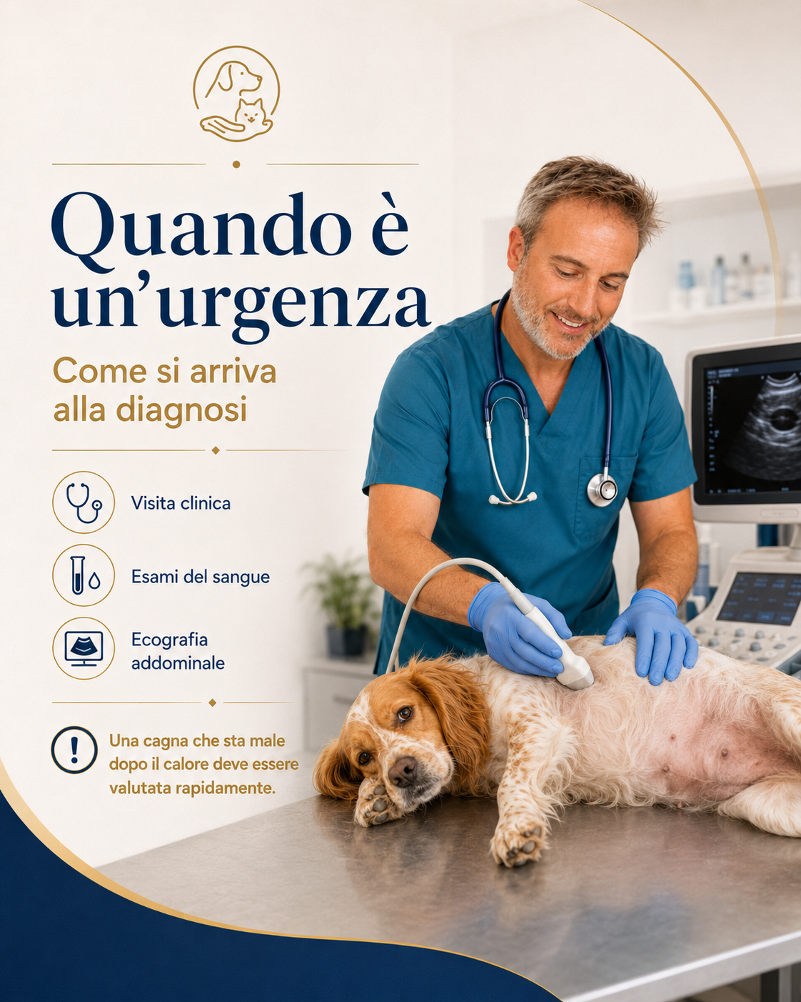 piometra quando è una urgenza